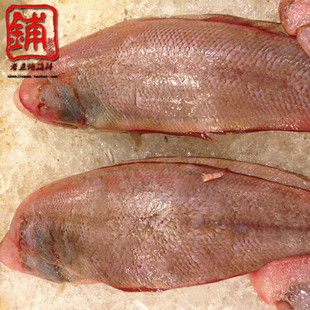 海哥老鱼铺海鲜