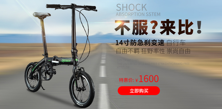 Tableau de bord vélo LIFETONE - Ref 2439535 Image 32