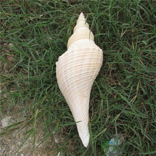 首页-d[s162279508]-淘宝网