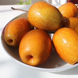 洛宁特产 沙梨王 冰糖梨水的好食材  蒸煮加工更美味￥49    :10