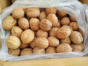 07凤县特产薄皮核桃自产自销￥18.9    :0