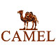 骆驼莱咖专卖店 - 骆驼Camel旅行鞋
