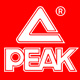 Peak匹克元宝专卖店 - 匹克PEAK运动鞋