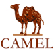 Camel骆驼内衣旗舰店 - 骆驼Camel运动文胸