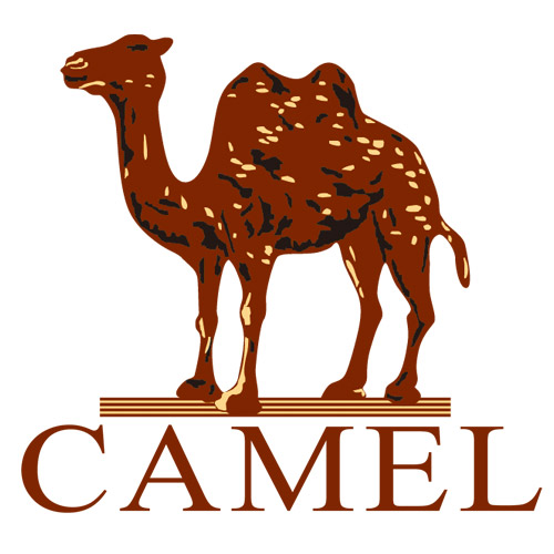 骆驼丰台专卖店 - 骆驼Camel旅行鞋