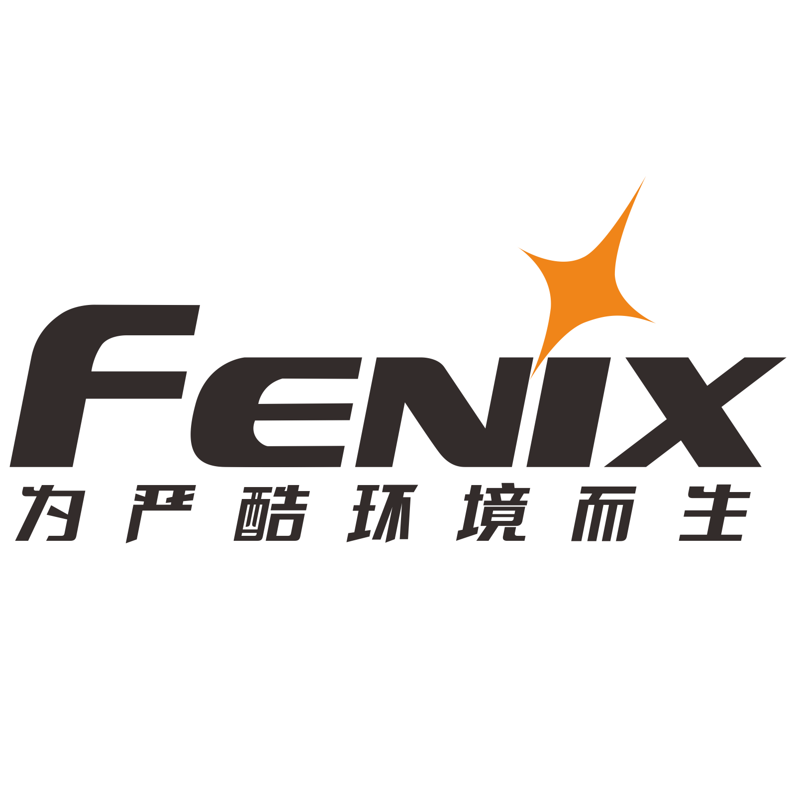 Fenix旗舰店 - FENIX手电筒