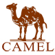 骆驼加鳄专卖店 - 骆驼Camel男鞋
