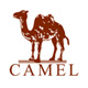 骆驼莱特兄弟专卖店 - 骆驼Camel冲锋衣