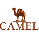 骆驼户外用品专卖店 - 骆驼Camel冲锋衣