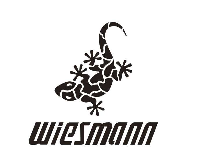 威兹曼wiesmann旗舰店 - wiesmann威兹曼眼镜