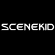 Scenekid数码旗舰店 - SCENEKID手机电池
