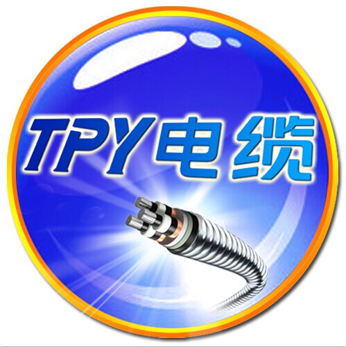 TPY旗舰店 - TPY网线