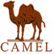 骆驼美驼专卖店 - 骆驼Camel旅行鞋