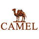 骆驼户外旗舰店 - 骆驼Camel户外服装