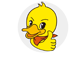 章鸭子食品旗舰店 - 章鸭子烤鸭