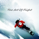 The Art Of Flight
