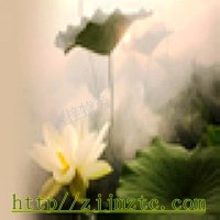 张家界木梓特产