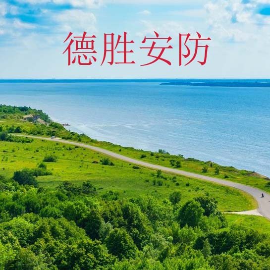 德胜安防电子