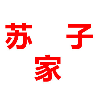 苏子家大码女装