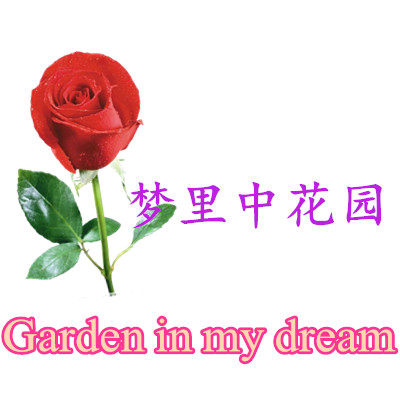 梦里中花园
