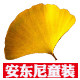 安东尼校园服童装批零公司
