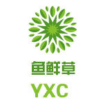 鱼鲜草圣诞工艺