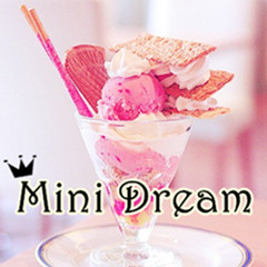 Mini Dream 手作馆