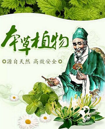 草本精华抑菌乳膏