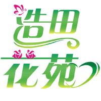 浩田花苑月季玫瑰绣球苗店