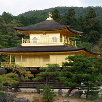 特兴商贸店
