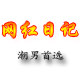 网红日记