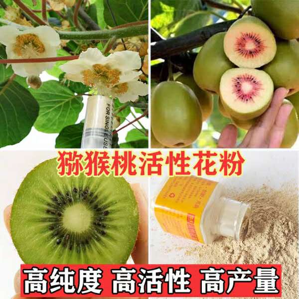 火箭筒电动授粉器