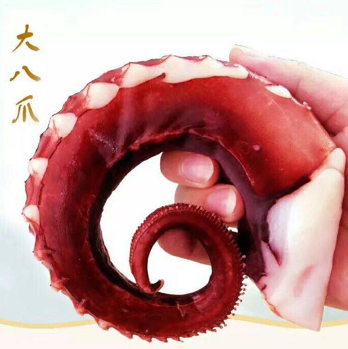 猪八戒海鲜 店铺LOGO