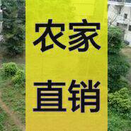 广东农家直销店