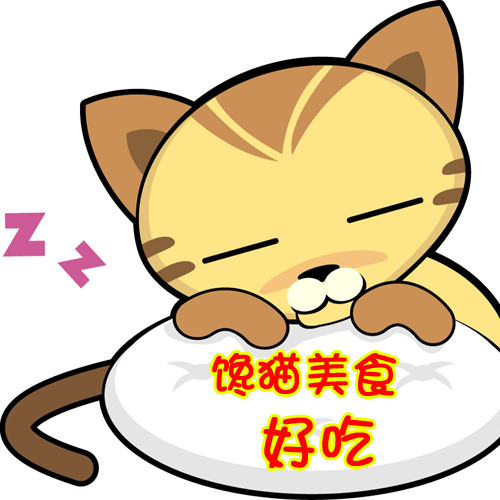 馋猫的口袋美食店
