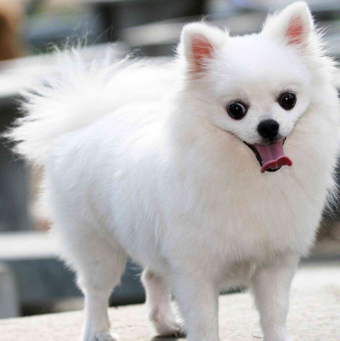 小小宁宁