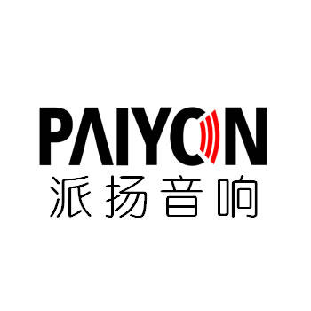 派扬音响官方企业店