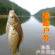 趁趁户外 店铺LOGO