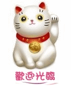 卓沅茶包