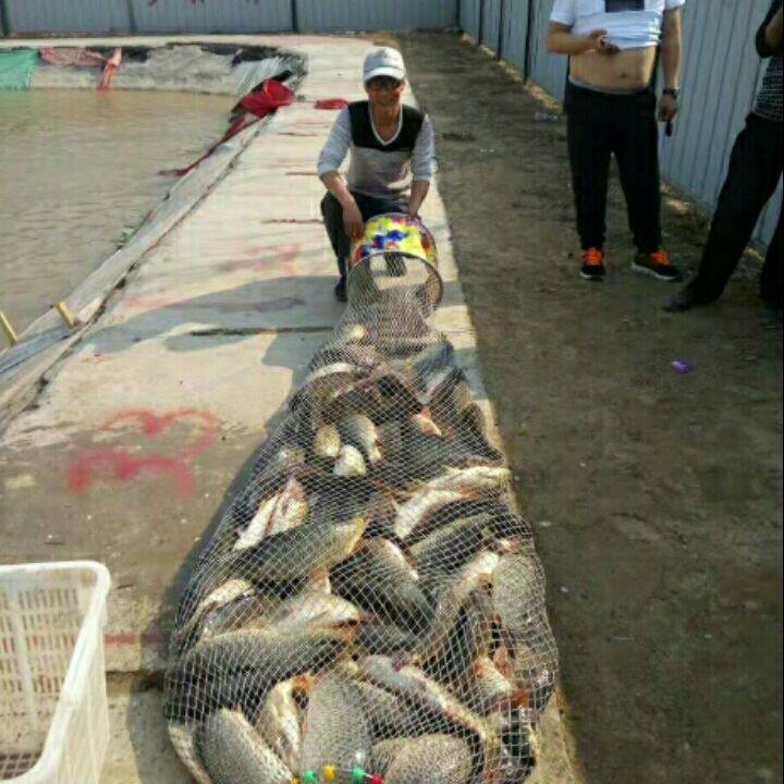 黑坑俱乐部BBB