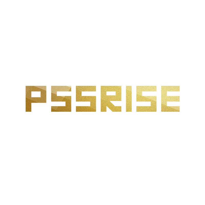 PSSRISE 派瑟士國際企业店
