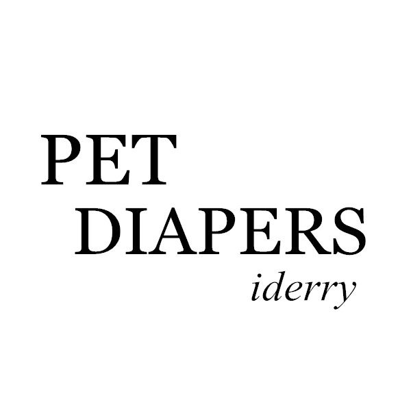 iderry Boat品牌店 店铺LOGO