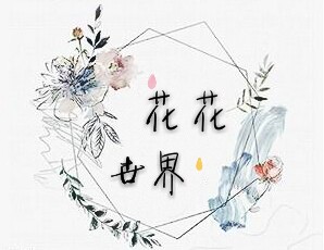花花世界满天星鲜花永生花批发