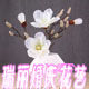瑞丽婚庆花艺