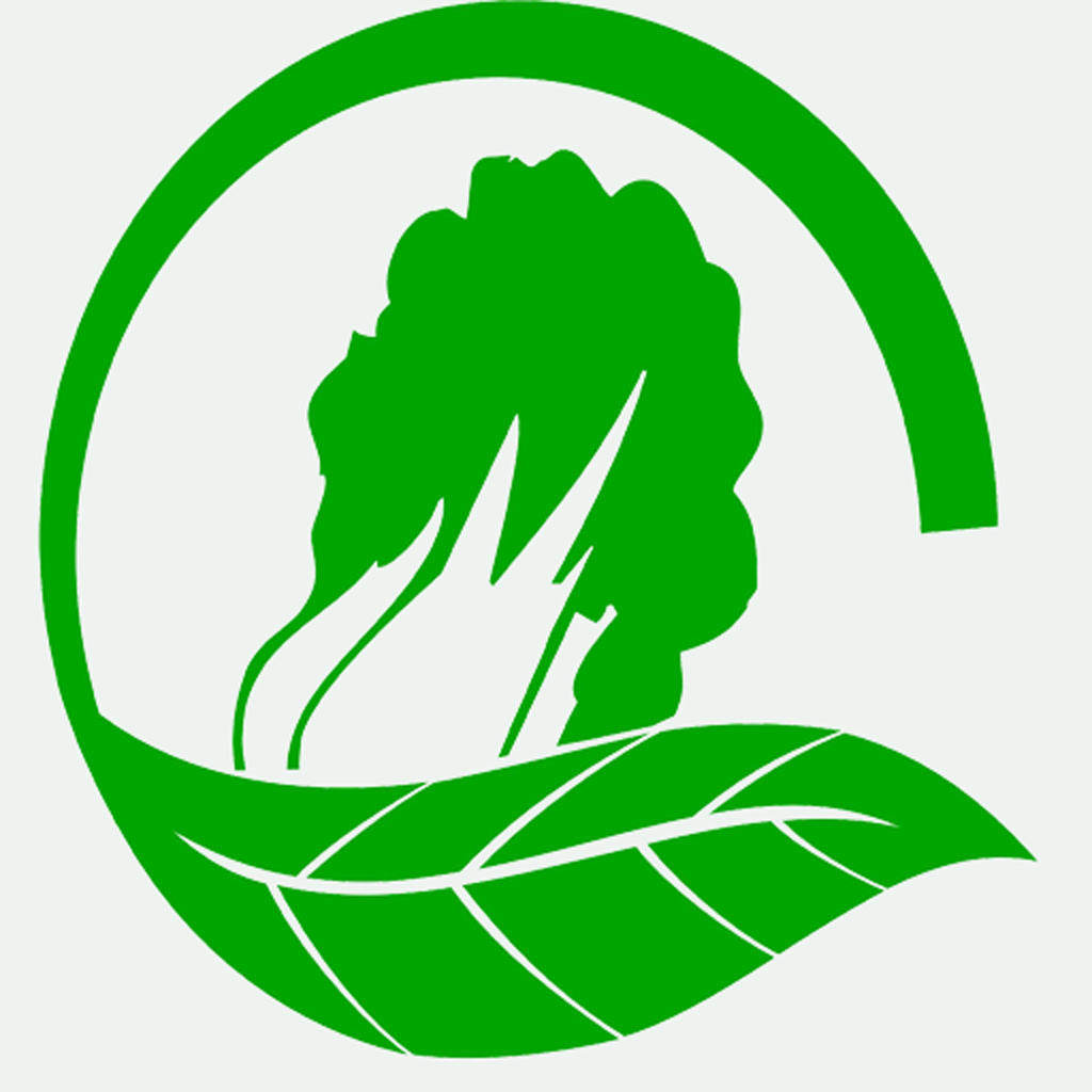 绿谷杂粮小镇