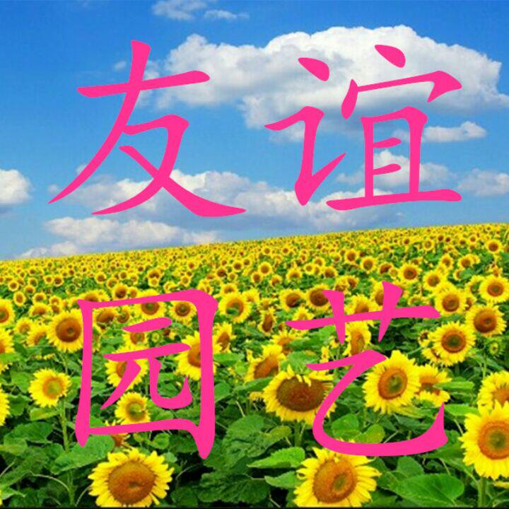 上海友谊园艺
