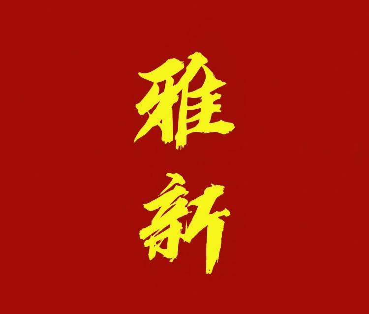 雅新电竞 店铺LOGO