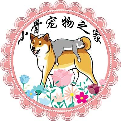 小骨宠物之家