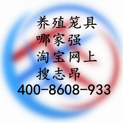 志昂鸽鸟兔宠用品店