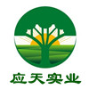 应天实业 吨袋吨包集装袋软托盘